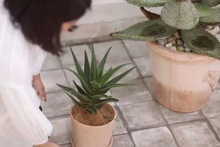 调节香氛浓度,调节味道