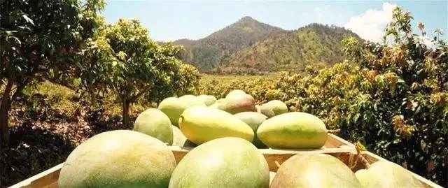 调节香氛浓度,调节味道
