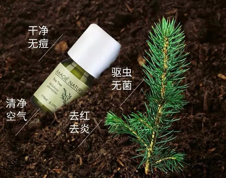 调节香氛浓度,调节味道