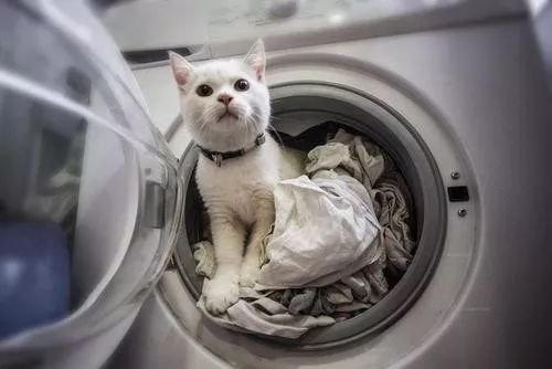 调节香氛浓度,调节味道