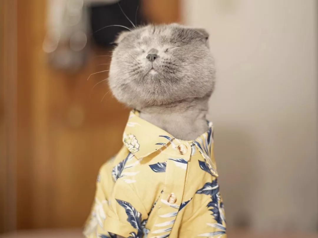 调节香氛浓度,调节味道