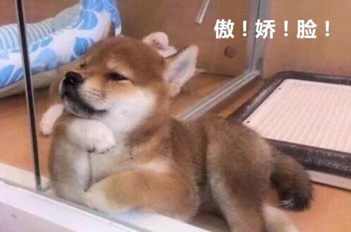 调节香氛浓度,调节味道