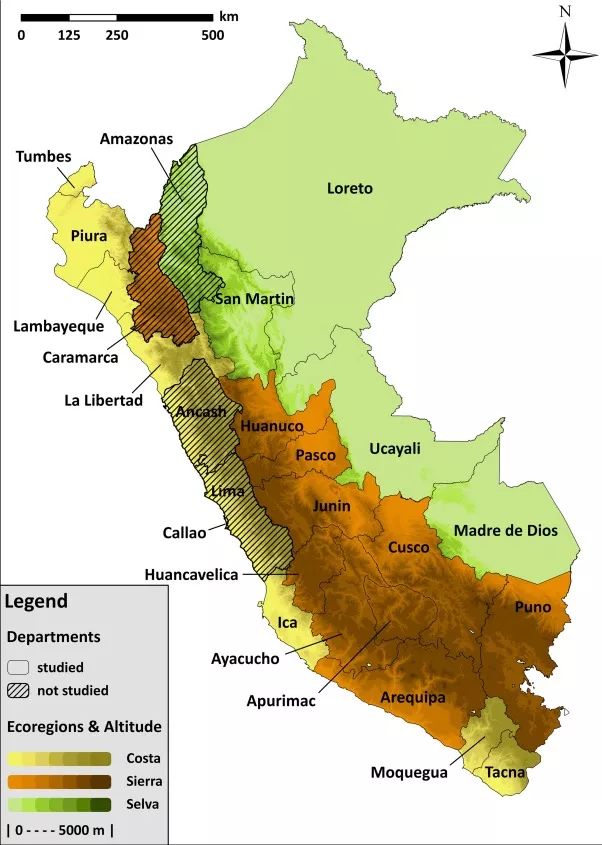 世界顶级猫屎咖啡 (世界最好吃的猫屎咖啡)
