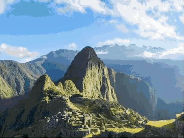 世界顶级猫屎咖啡 (世界最好吃的猫屎咖啡)