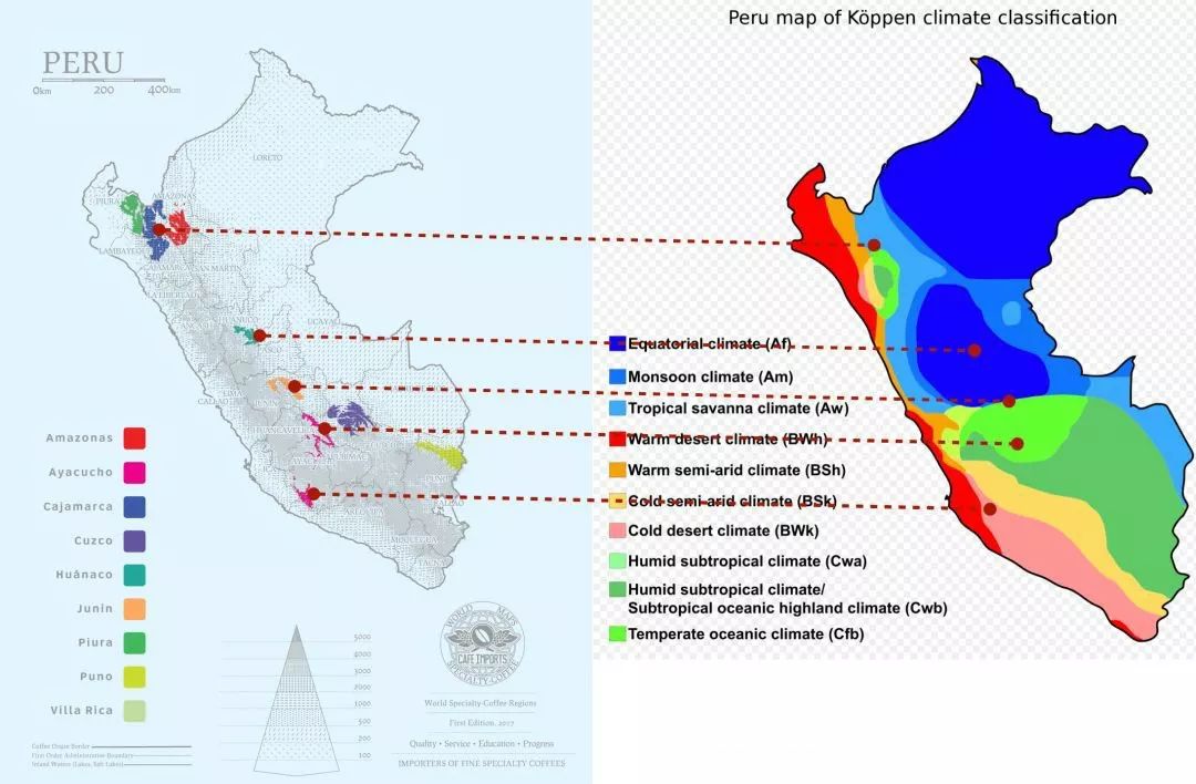 世界顶级猫屎咖啡 (世界最好吃的猫屎咖啡)
