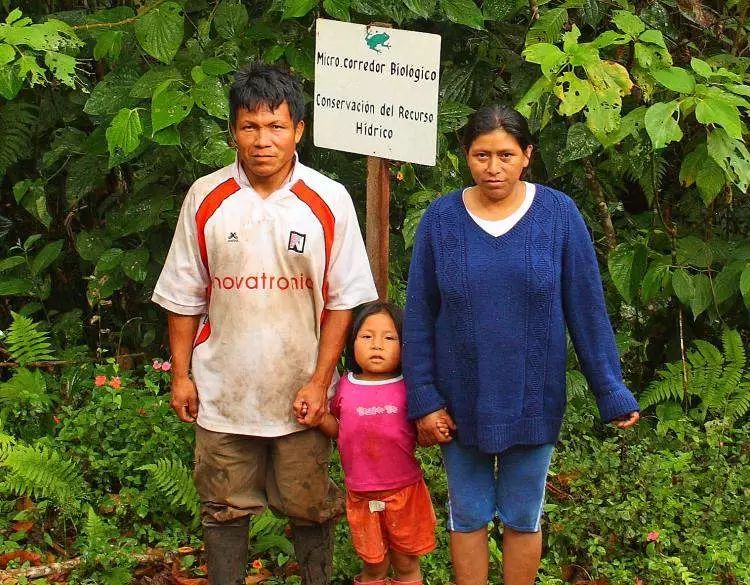 世界顶级猫屎咖啡 (世界最好吃的猫屎咖啡)