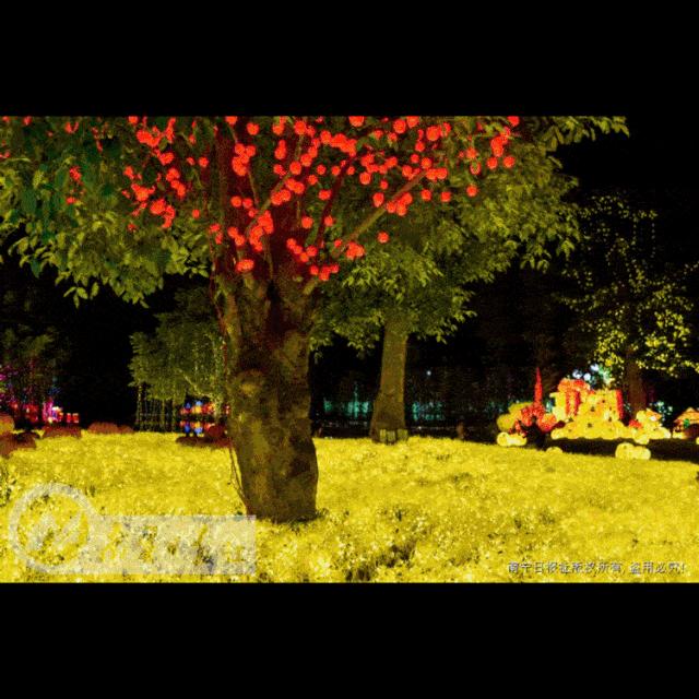 约不约？9月6日，我在青秀山等你一起看花灯