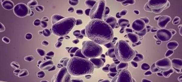 有毒木耳吃多少才中毒,隔夜木耳吃了中毒自救