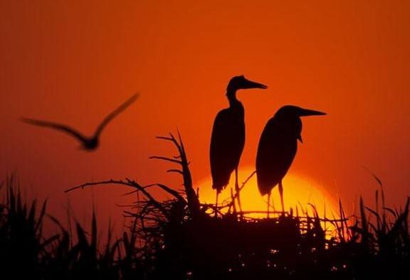 凌晨四点看海还是凌晨四点看日出,凌晨两点看日出和晚上11点