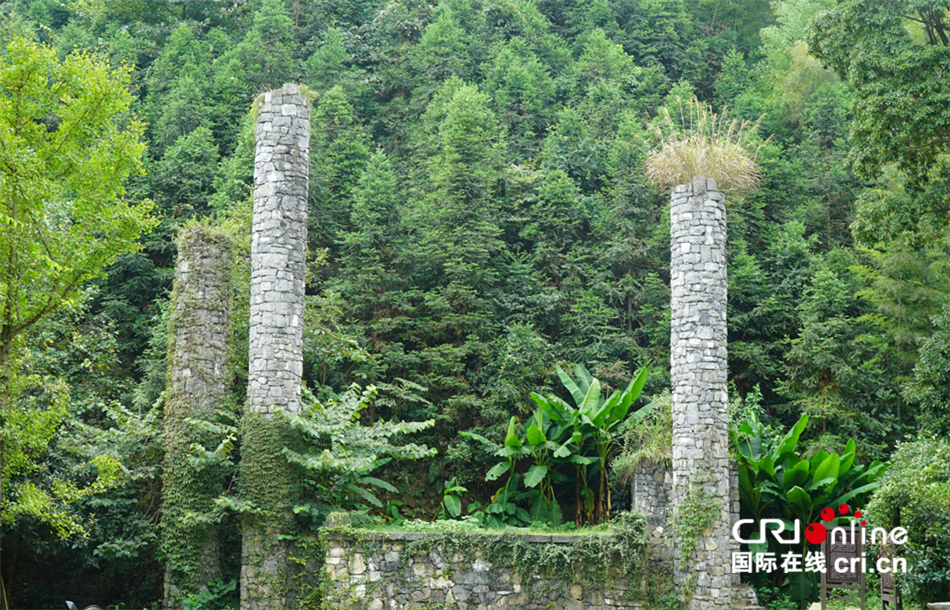 中国梅山文化园视频,中国梅山文化园政策