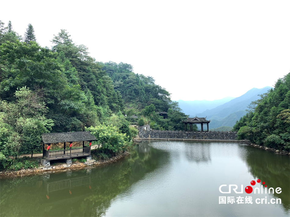 中国梅山文化园视频,中国梅山文化园政策