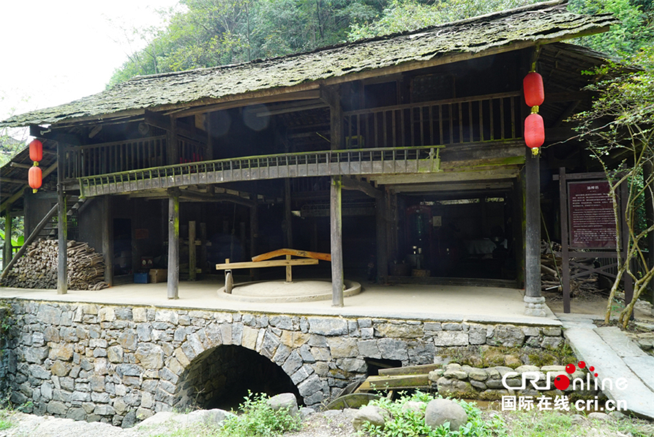 中国梅山文化园视频,中国梅山文化园政策