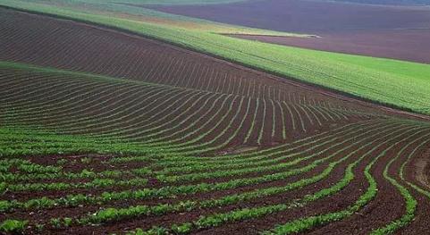 检测土壤取样的标准,土壤检测的正确取样的方法