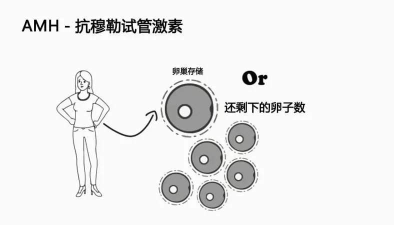 每个女性都有两个年龄，这事儿你知道吗？