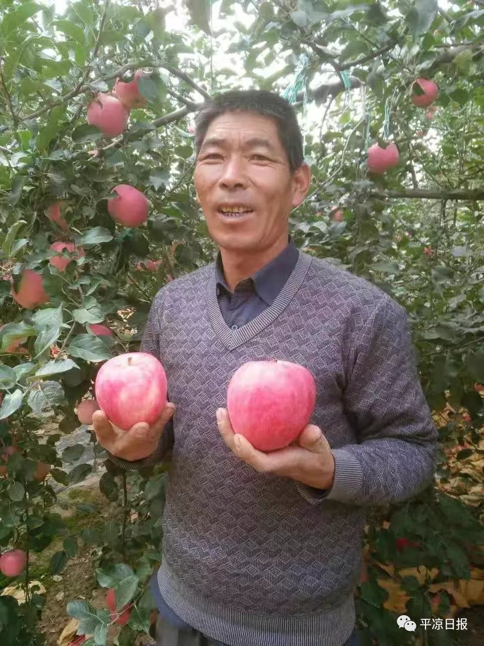 70后的果农感言,壮丽70年奋斗新时代感言