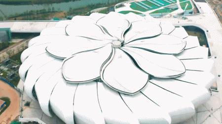 耗资11亿、重达1280吨、40米高空上的“莲花”建筑开花了！网友：扑面而来的中国风