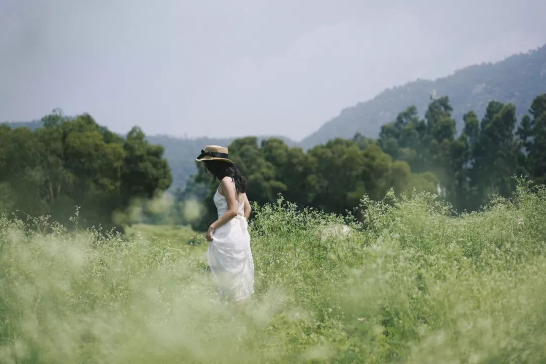 厦门有哪些拍照好看的地方,厦门十大拍照地方