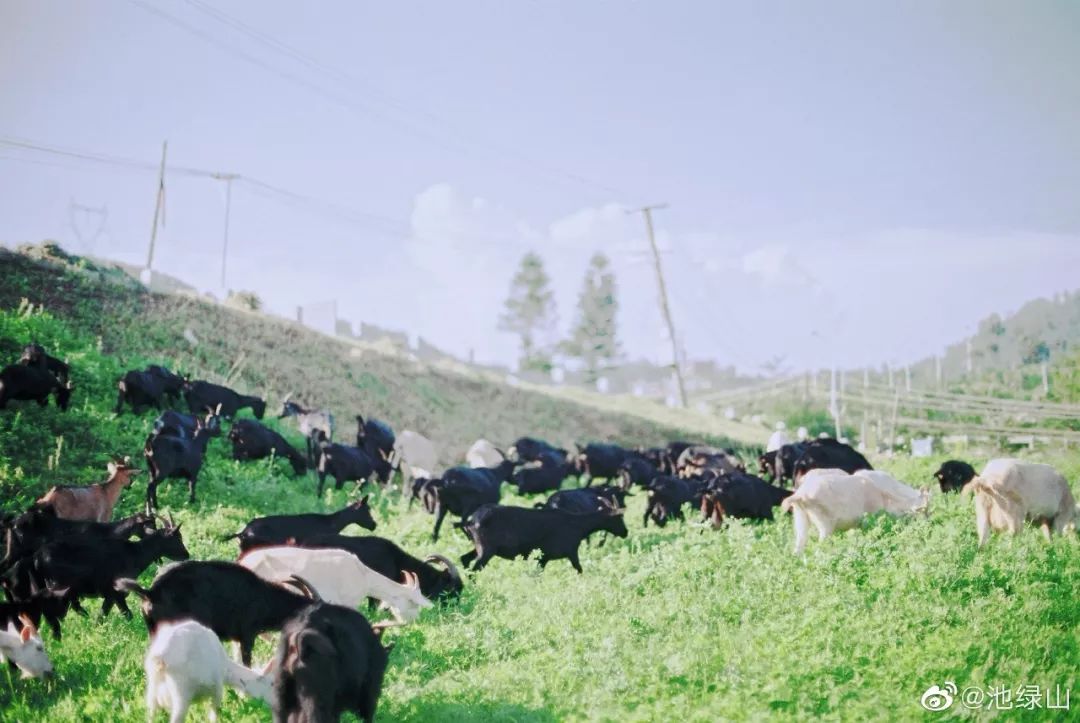 厦门有哪些拍照好看的地方,厦门十大拍照地方