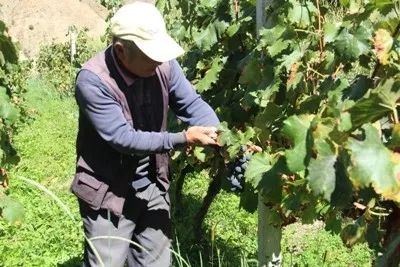 德钦县是云南最后一个县城吗,云南德钦县未来5年规划图