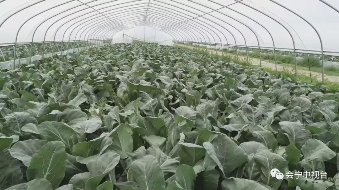 速看甘肃发布重要通知,速看甘肃省政府出台重要意见