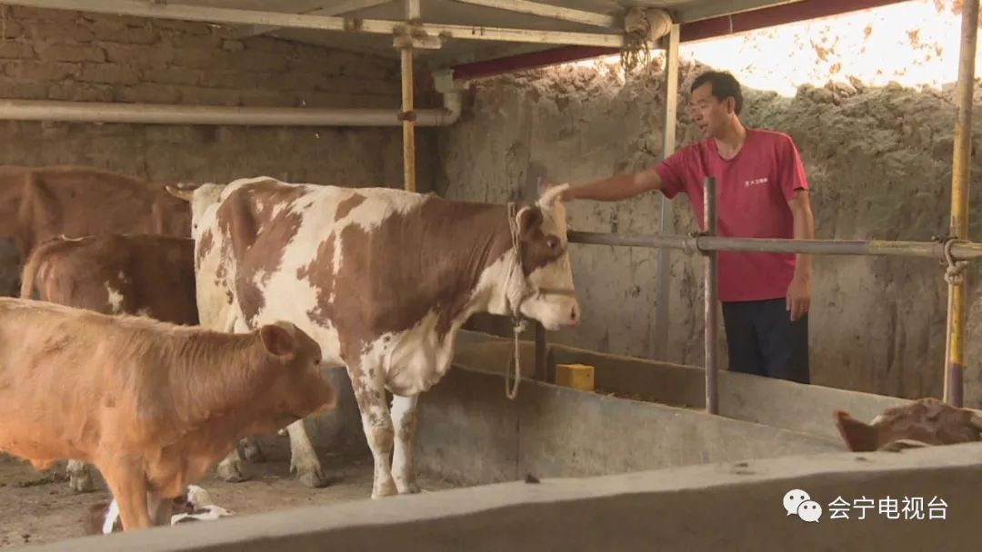 速看甘肃发布重要通知,速看甘肃省政府出台重要意见