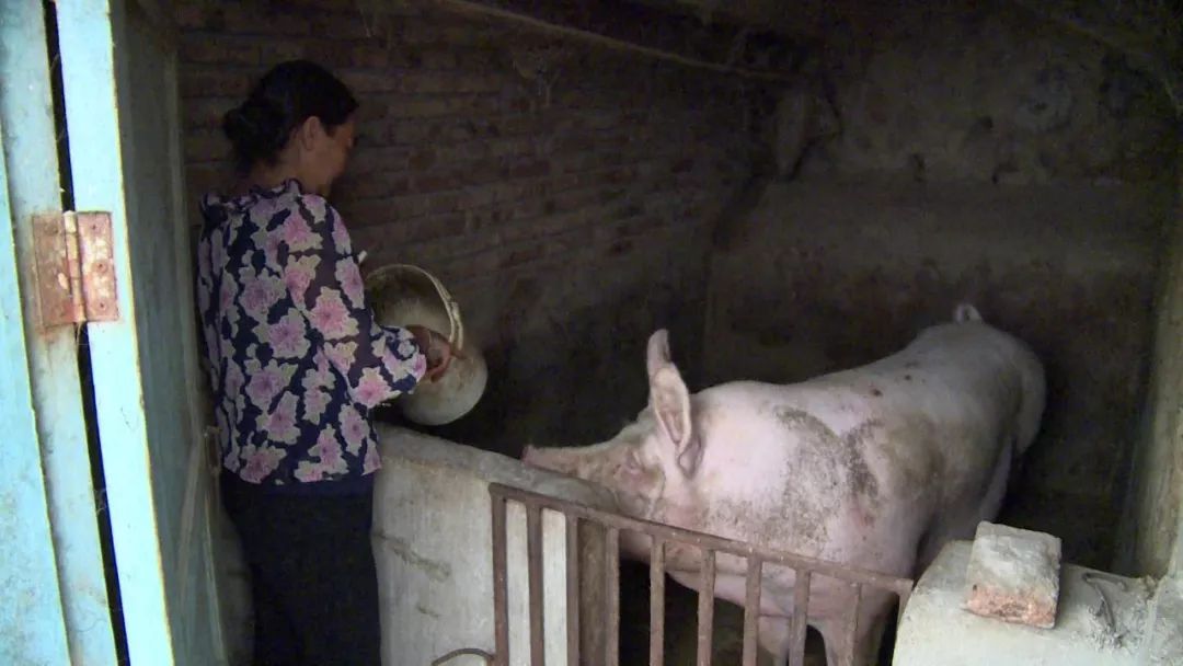 持续发力帮扶工作提升脱贫成效,精准帮扶施策助力脱贫攻坚