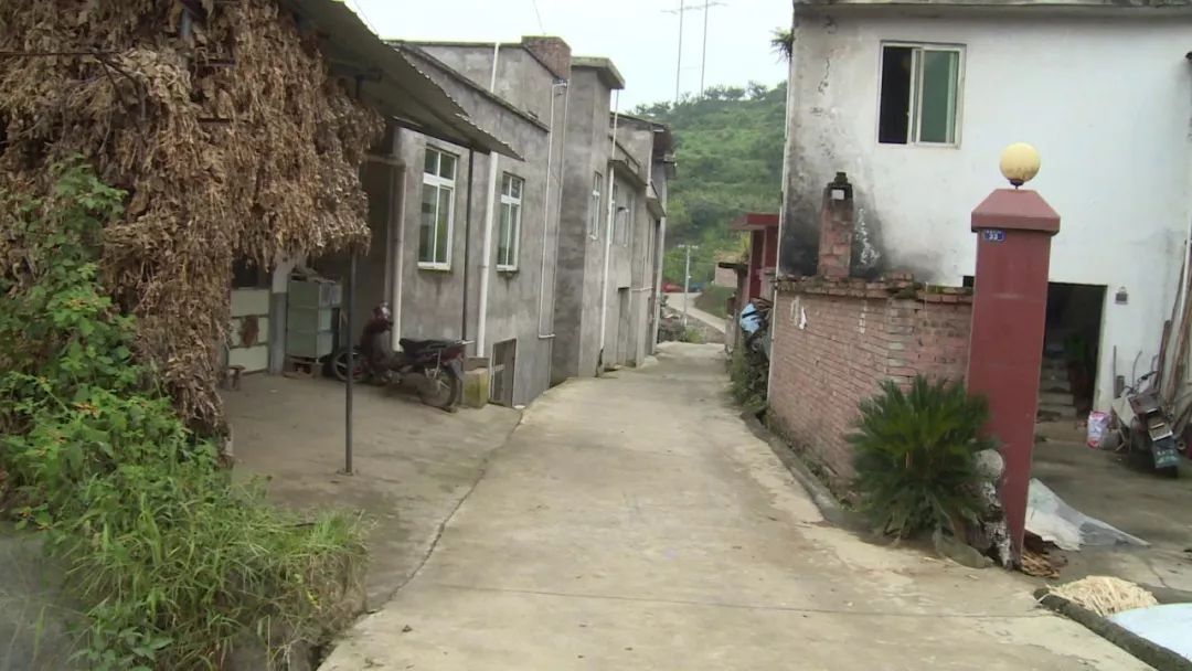 持续发力帮扶工作提升脱贫成效,精准帮扶施策助力脱贫攻坚