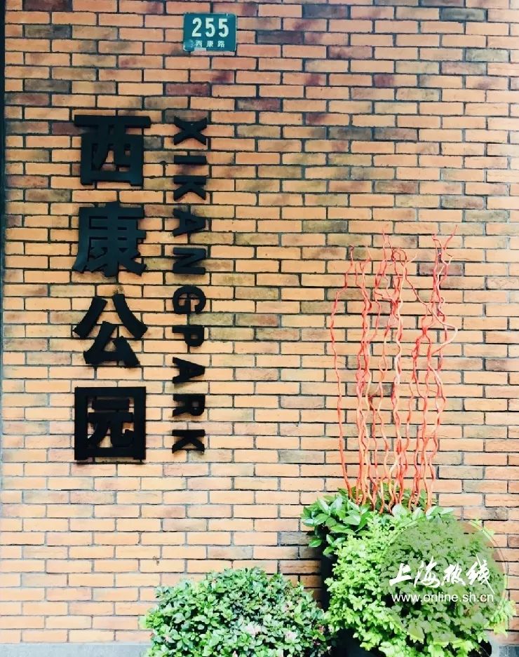 TA藏在静安，可能是市中心最袖珍公园，重温老上海的儿时记忆