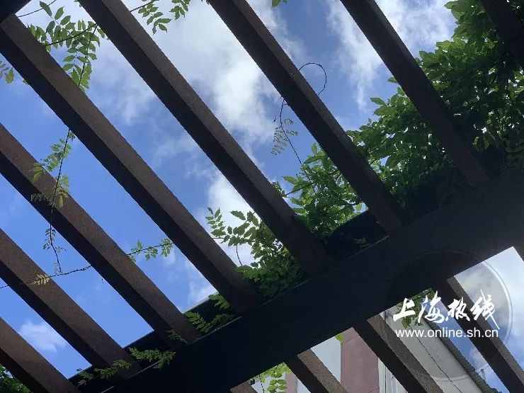 TA藏在静安，可能是市中心最袖珍公园，重温老上海的儿时记忆