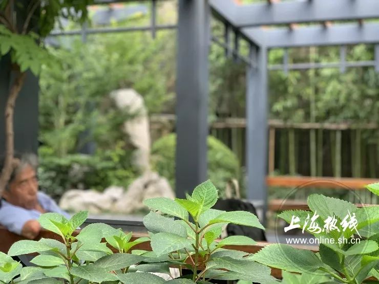 TA藏在静安，可能是市中心最袖珍公园，重温老上海的儿时记忆