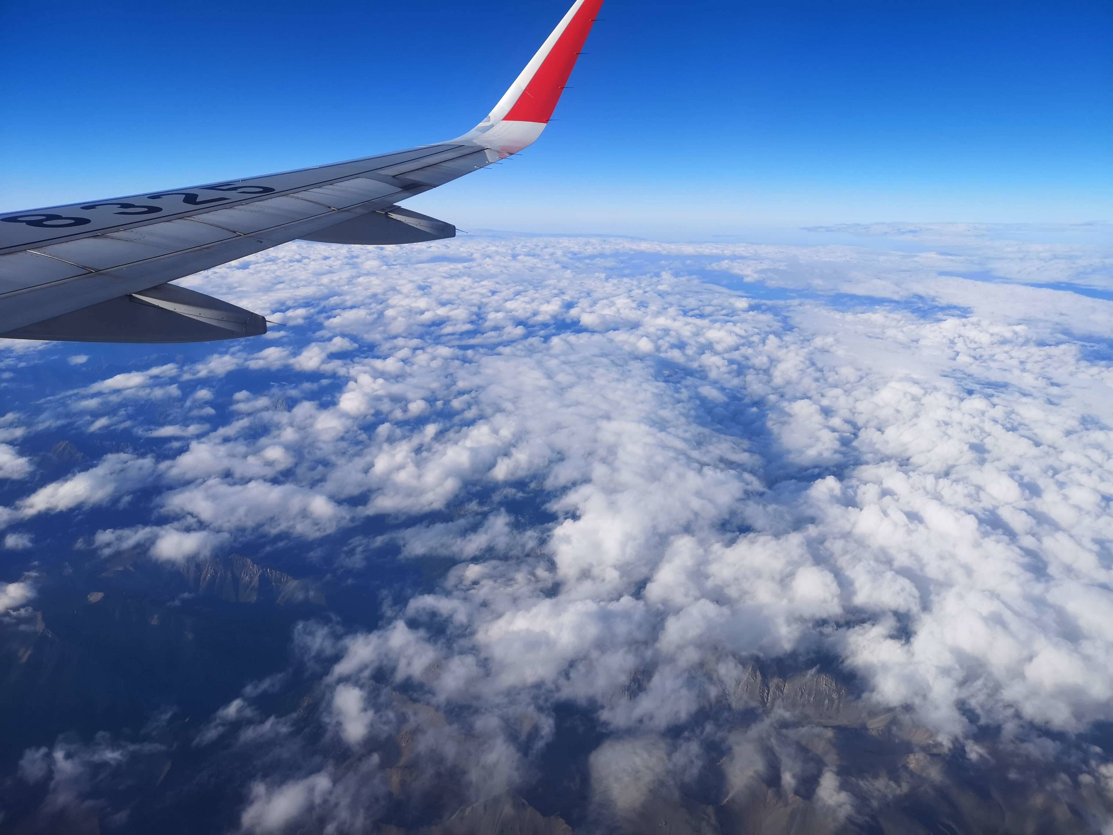 机票不含餐可以另购买吗,买机票请完善信息什么意思