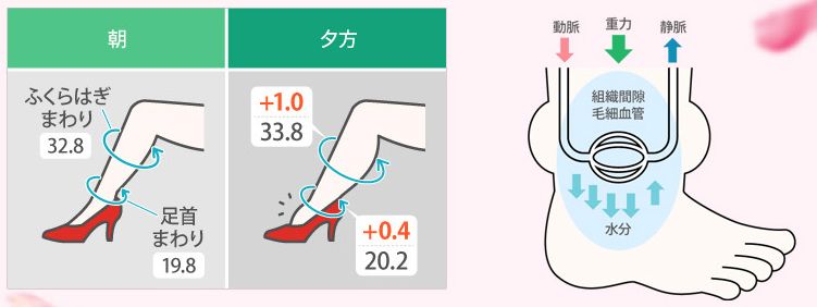 跑完步脚底痛？滚一滚它就管用，还能瘦小腿