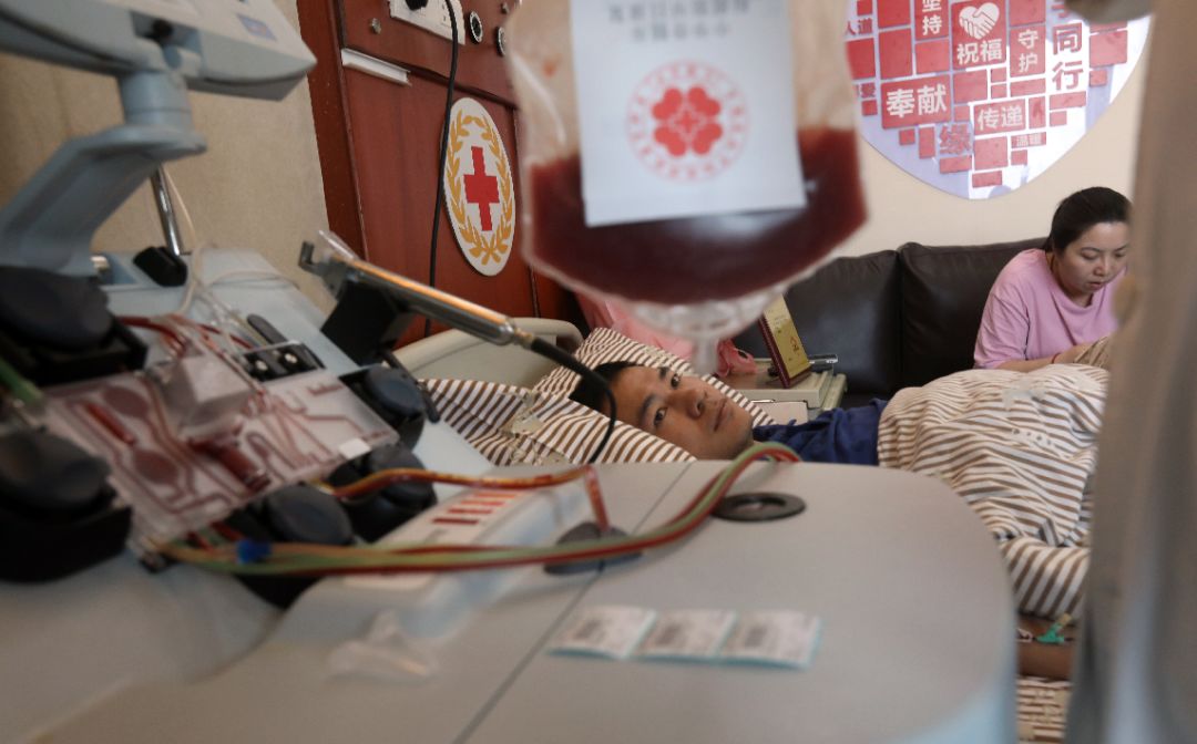 刚刚，数字滚到了497！这封感谢信，看哭了许多人