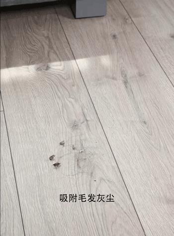 海绵拖把清洗霉菌小妙招,海绵拖把拖完不洗细菌多吗