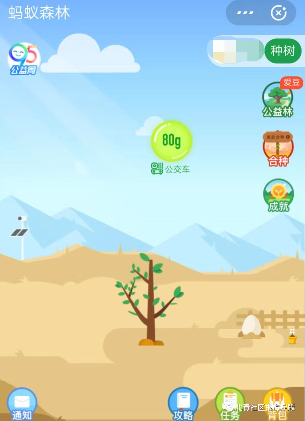 刷码乘车钱在哪里扣了,乘车码刷了三次了怎么没扣钱