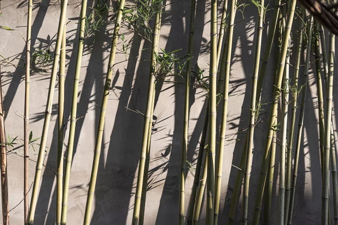 隐居蓬莱旅游酒店推荐,烟台市隐居蓬莱人文度假酒店