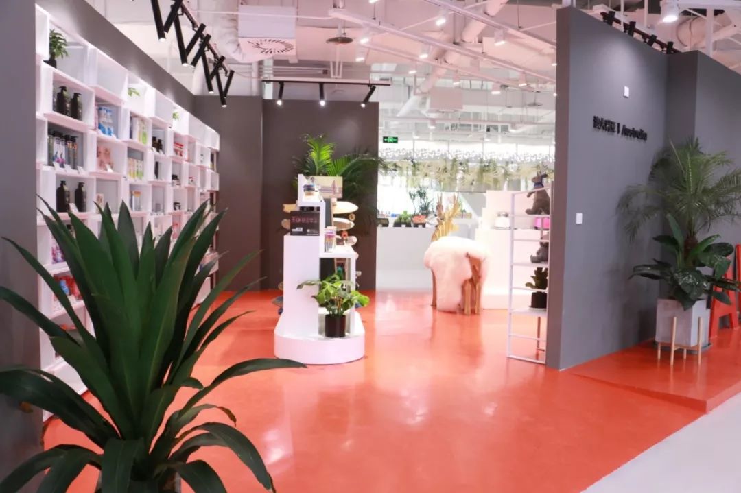 人做梦都想如何挣钱,做梦都在想怎么能挣到大钱