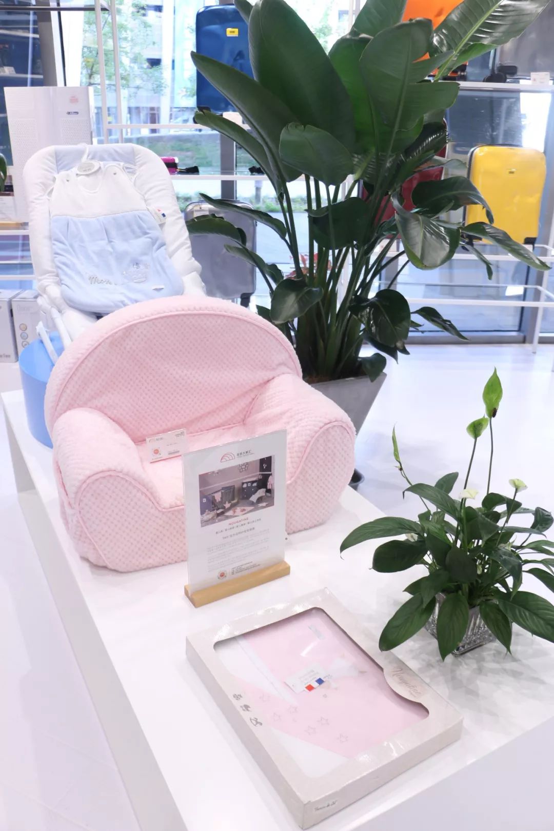 人做梦都想如何挣钱,做梦都在想怎么能挣到大钱