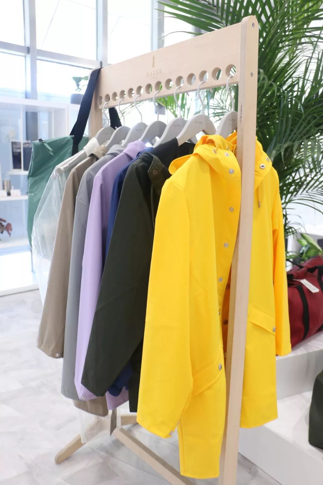 人做梦都想如何挣钱,做梦都在想怎么能挣到大钱