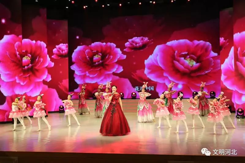 河北好人发布会,时代新人河北好人2019