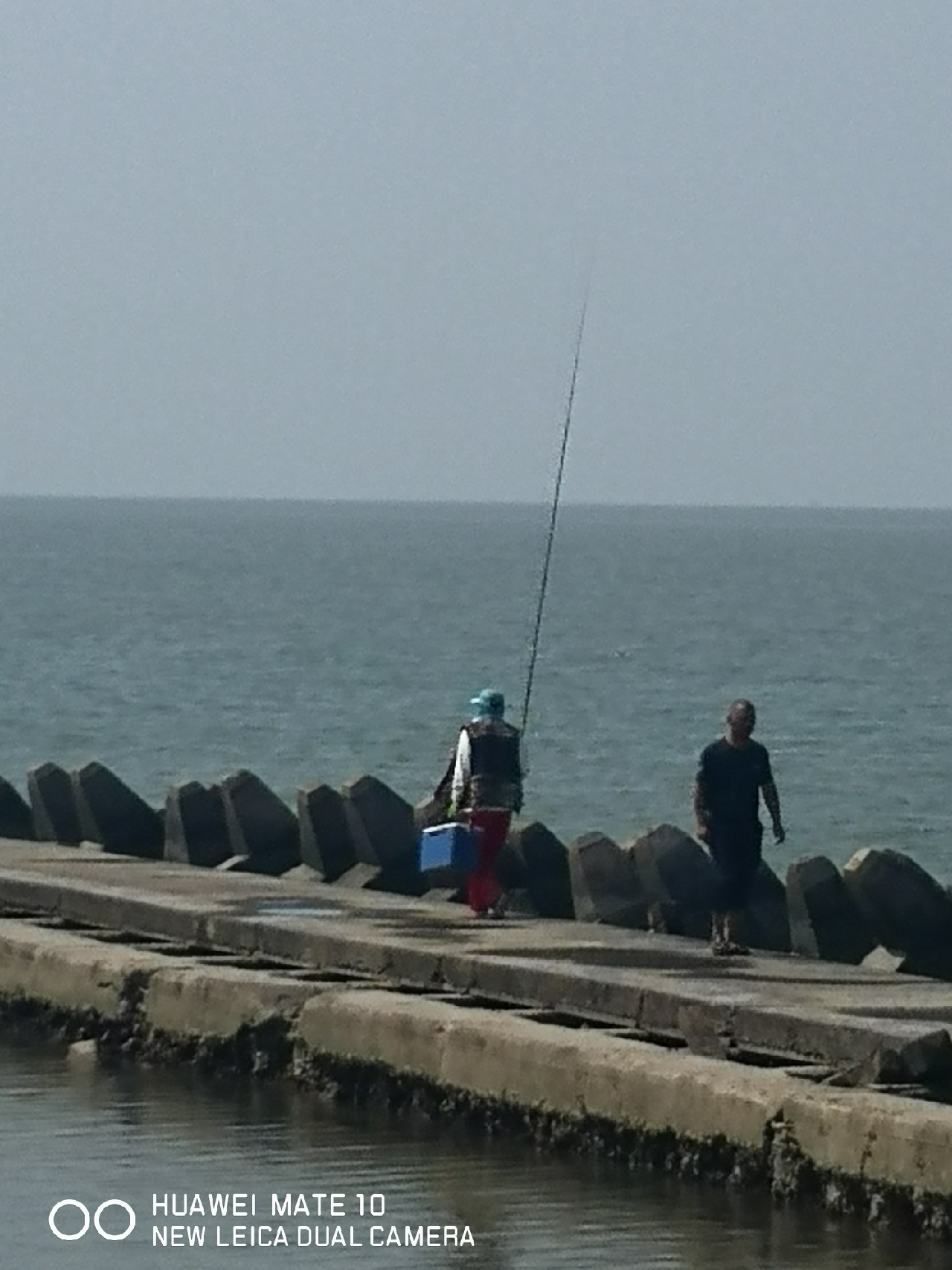 秋风起鲈鱼肥,秋风起虾蟹肥