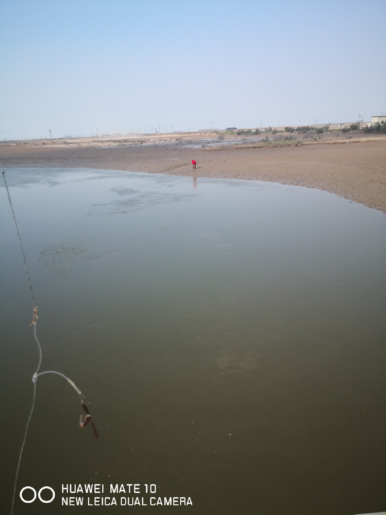 秋风起鲈鱼肥,秋风起虾蟹肥