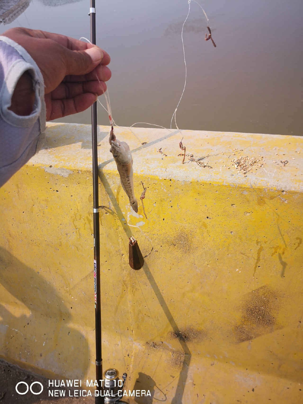 秋风起鲈鱼肥,秋风起虾蟹肥