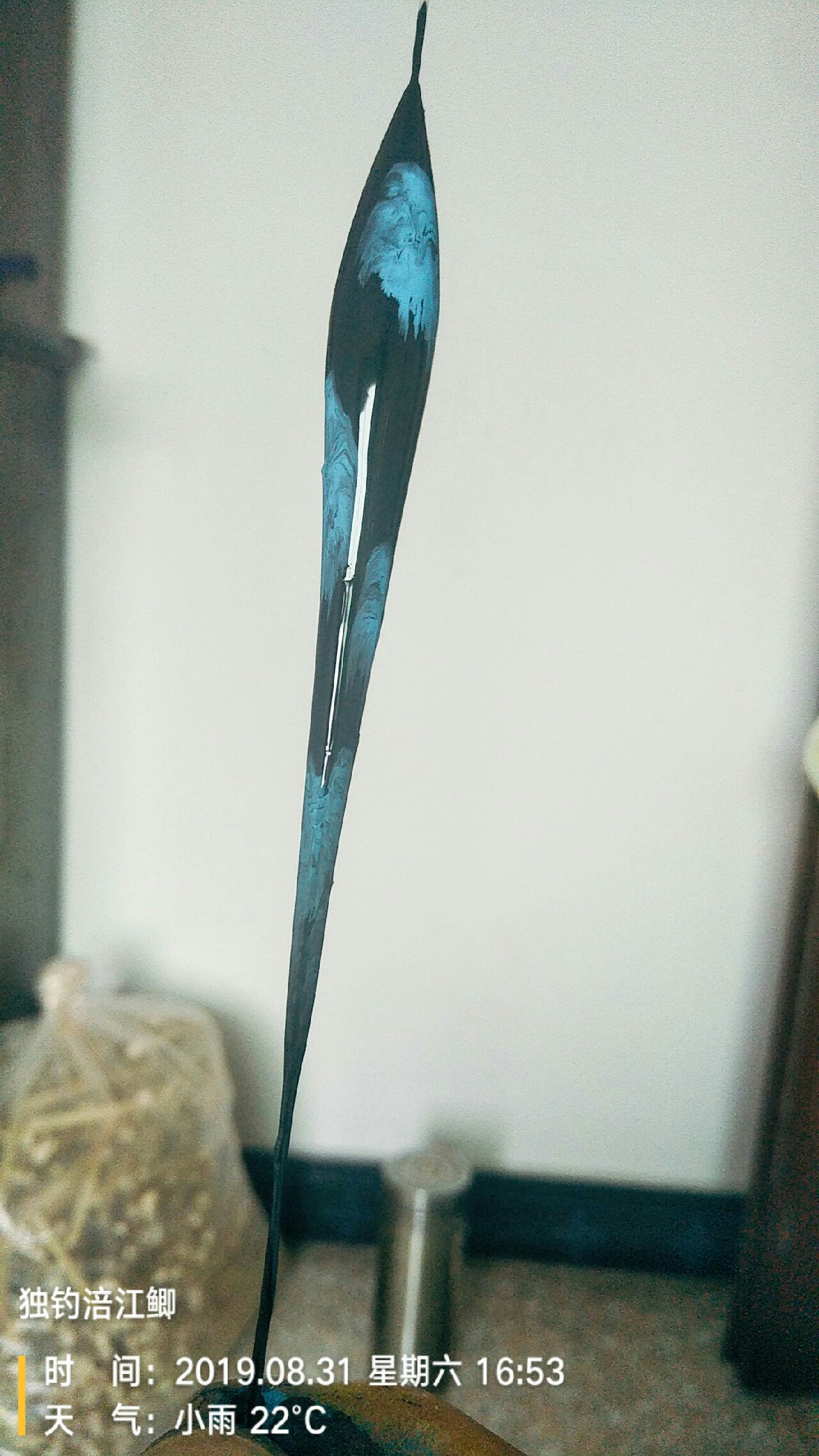 水转印初学者教程,水转印技术教程最简单的做法