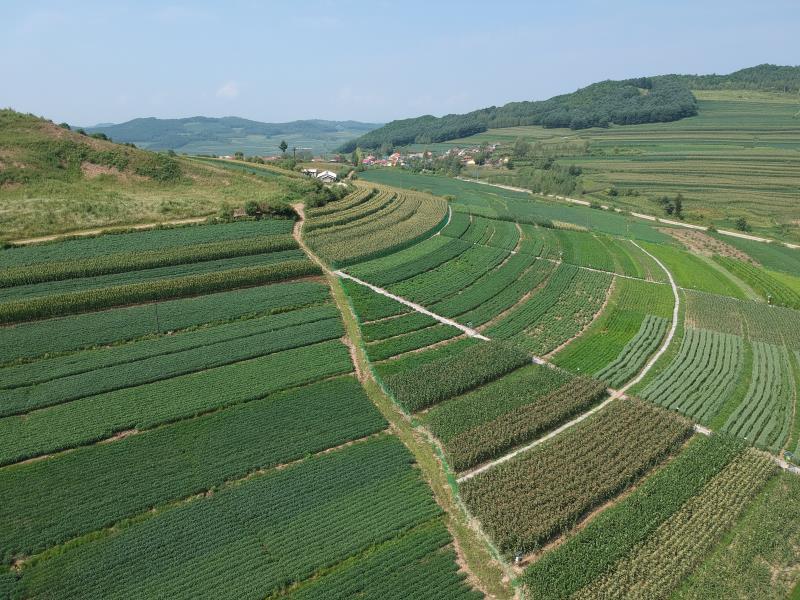 沃野生金——来自抚松县的“一谷一城”建设报道
