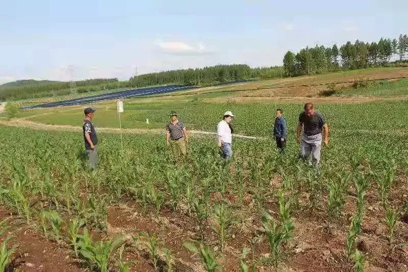 沃野生金——来自抚松县的“一谷一城”建设报道