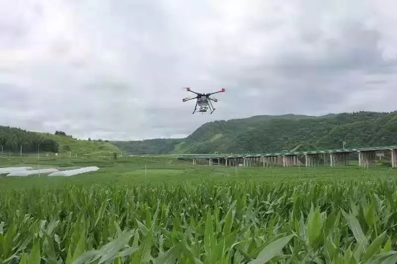 沃野生金——来自抚松县的“一谷一城”建设报道