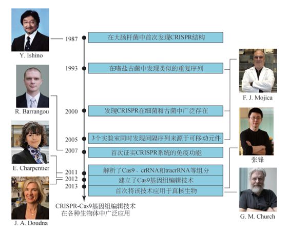 基因编辑crispr-cas9最新成果,crispr基因编辑技术发展史