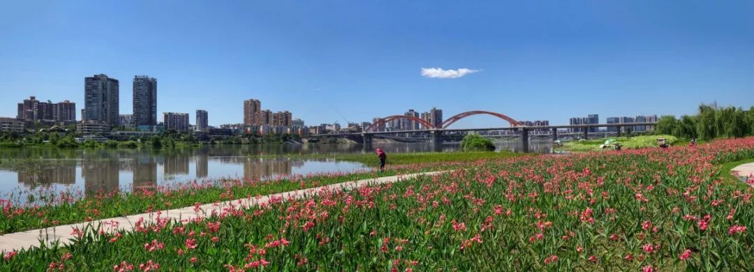 南充加快建成省域经济副中心,南充成渝第二城全省经济副中心