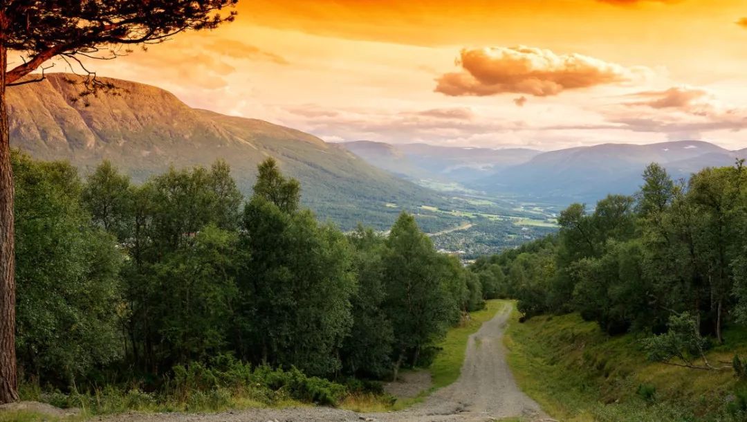 挪威缩影是个旅游团吗,不同人眼中的挪威